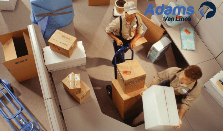 Adams van lines – location image – fort lauderdale Adams van lines - location image - fort lauderdale